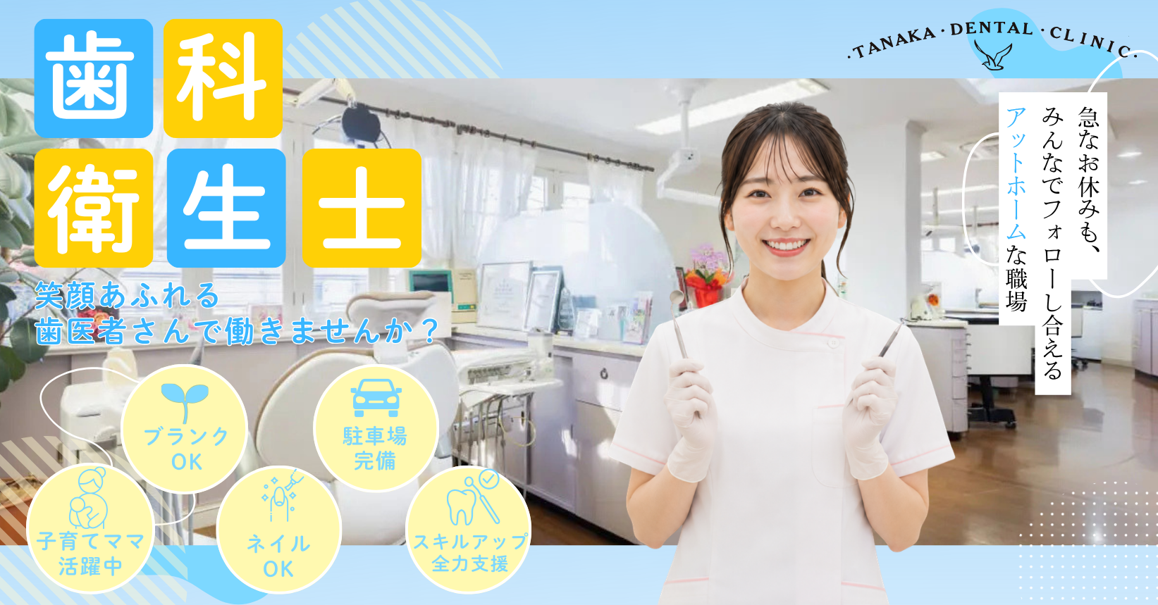 千葉県柏木市 / 歯科衛生士の求人情報